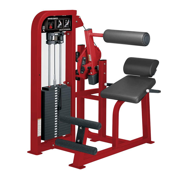 Músculos de la espalda