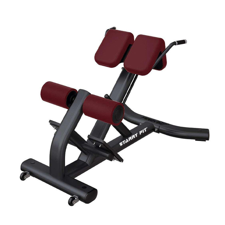 Extensión de espalda<br />LF-B-SBE