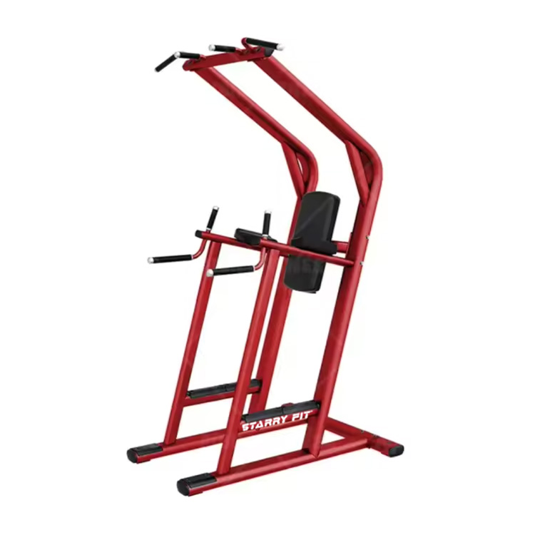 Elevación de piernas<br />LF-L-SCDLR