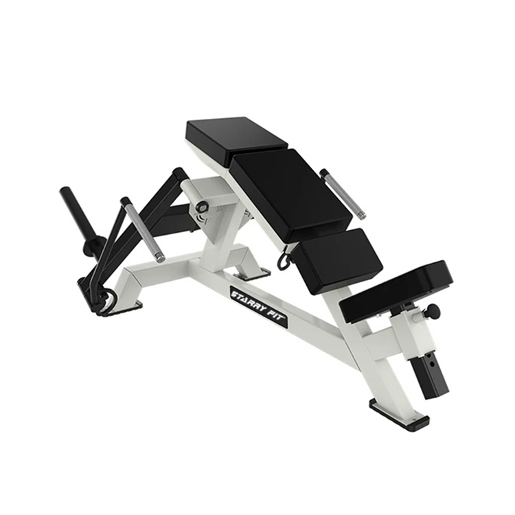 Mosca inclinada recargada<br />ASN506