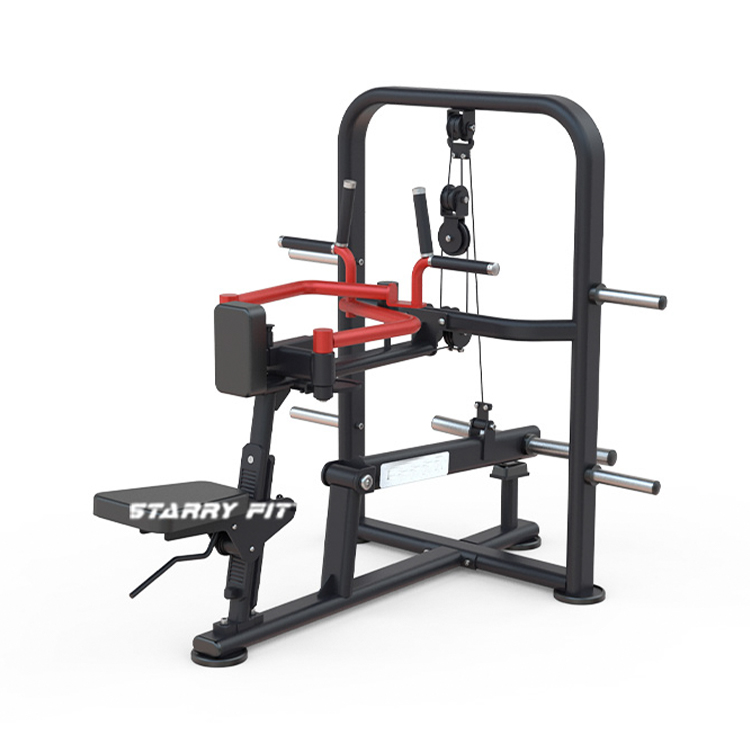 Hombro deltoides posterior sentado<br />DLP260