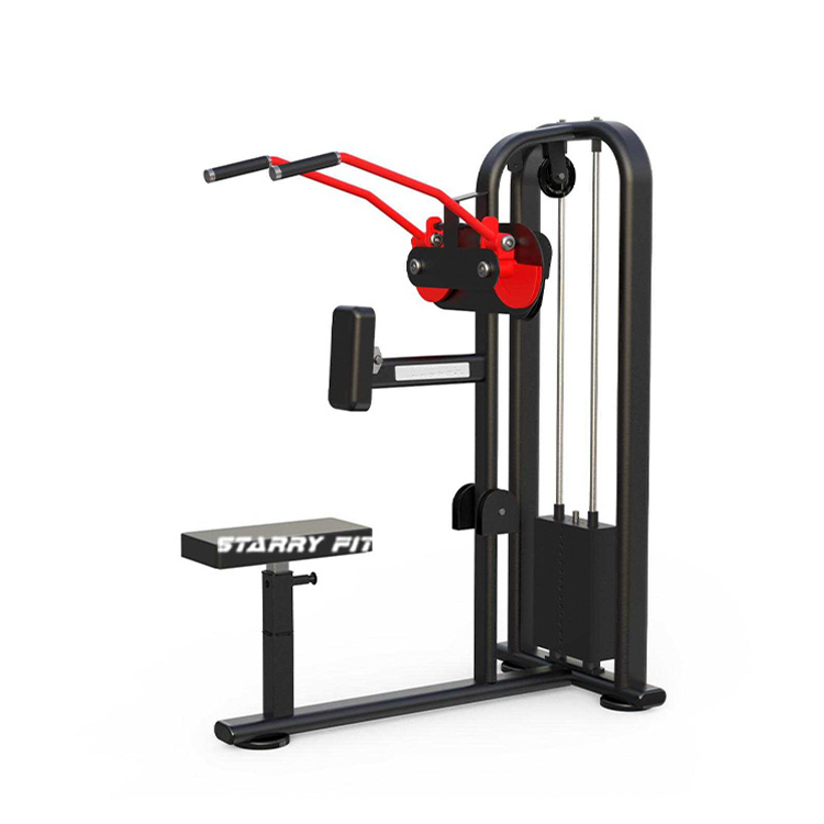 Mosca de diciembre<br />DLP285